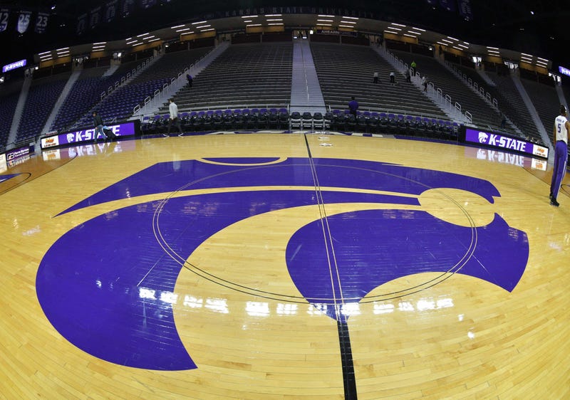 Wildcat logo