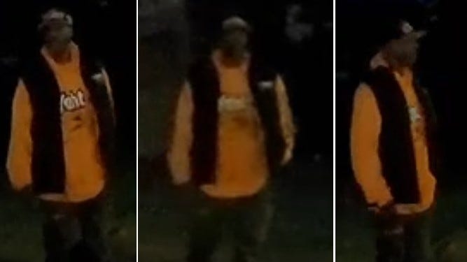 detroit hit and run suspect