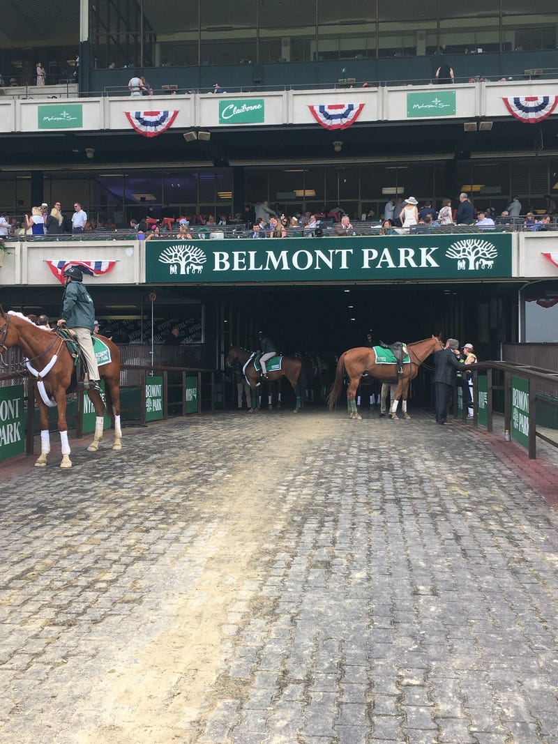 Just hours to go until Justify chases the Triple Crown at Belmont.
