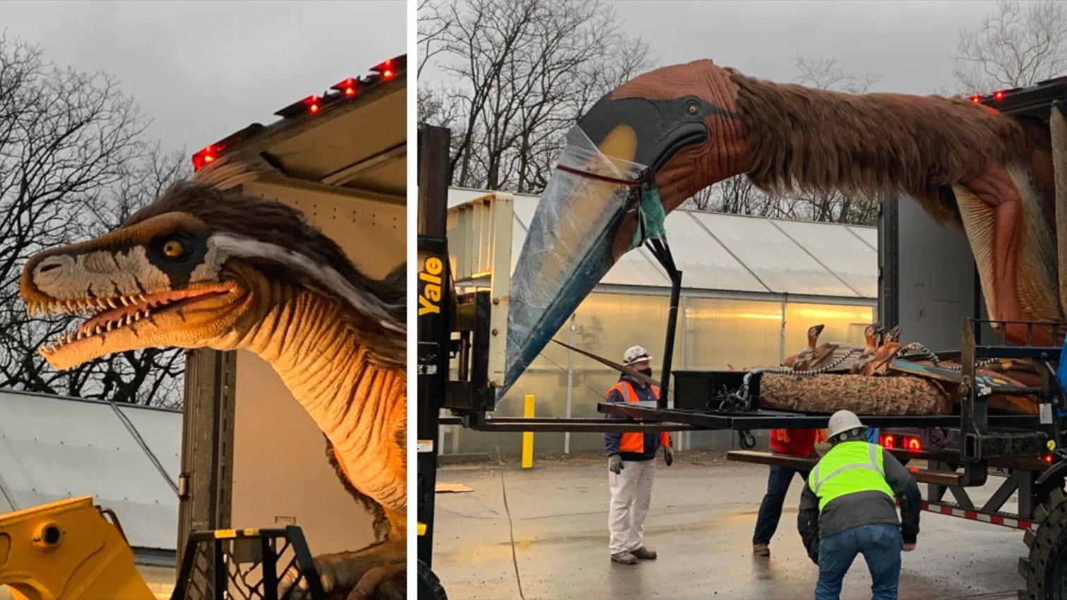 WATCH: Dinosaurs arrive at Saint Louis Zoo for new exhibit opening in April