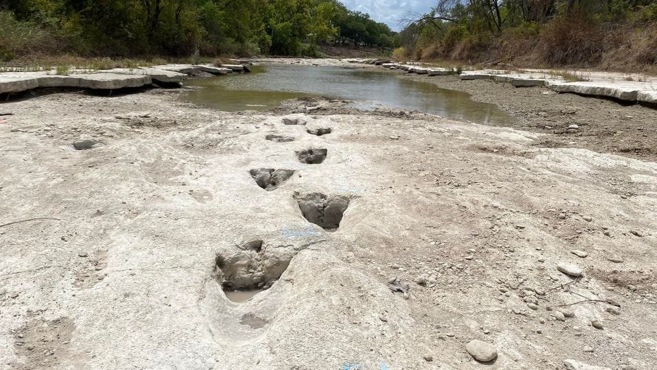 Drought reveals 113 million-year-old dinosaur tracks at Texas state park