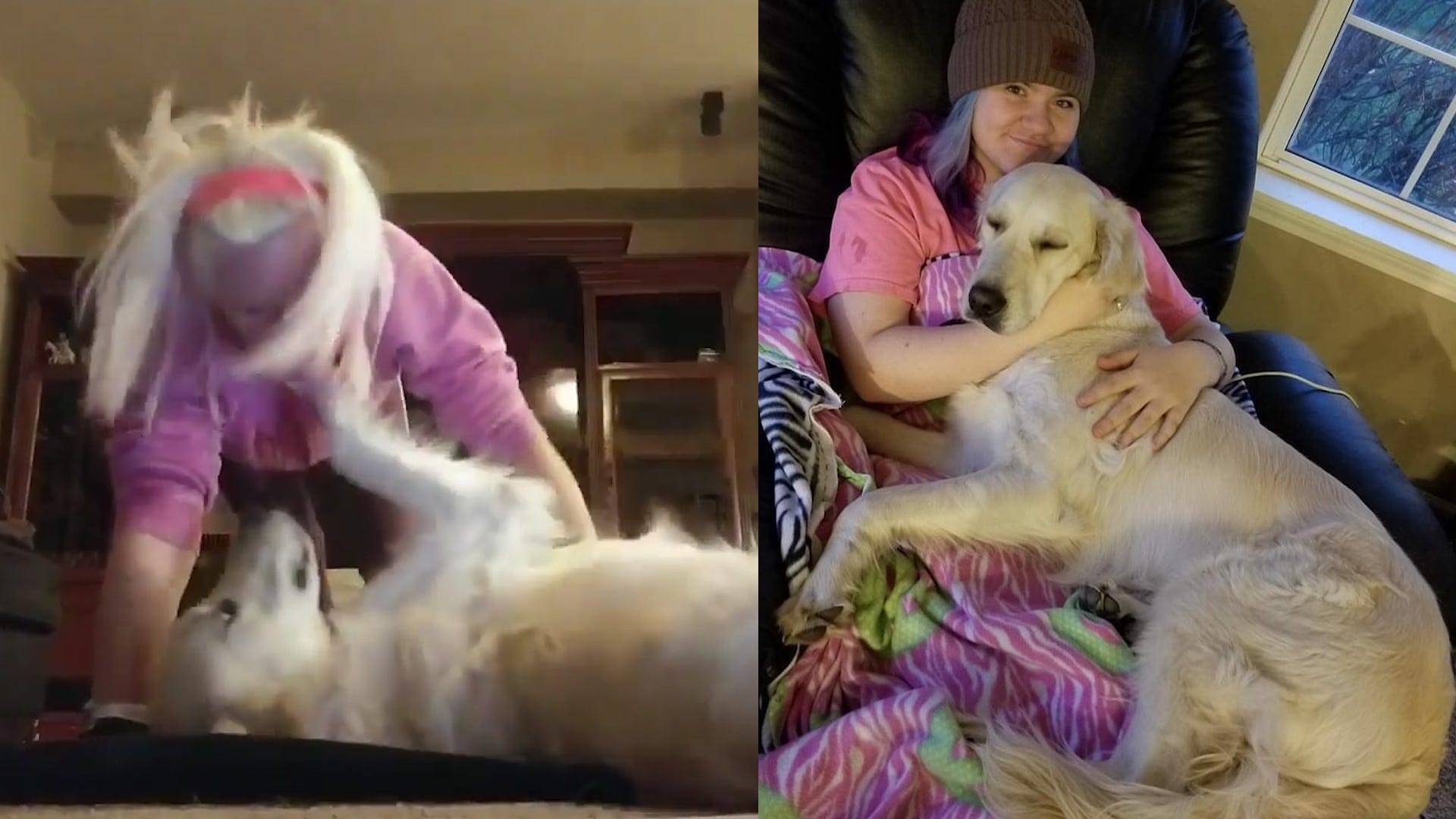 Watch Service Dog Adorably Interrupt Family Member's Yoga Practice
