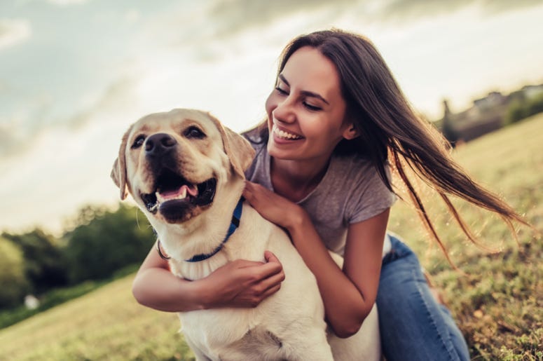 Dog