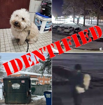 The man who left the dog in the dumpster was identified as a 26-year-old male resident of Old Bridge, and he is facing charges.