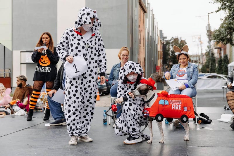 Hound-O-Ween Fall Festival and Pet Costume Contest
