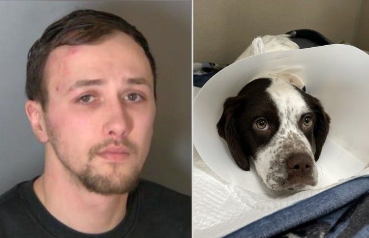 dog abuser is pictured left, dog at right