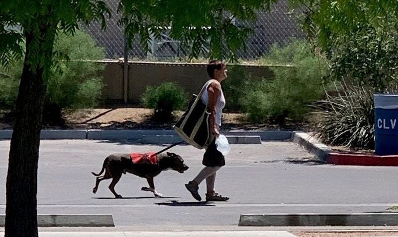 Woman wanted in April 2020 Dog Attack