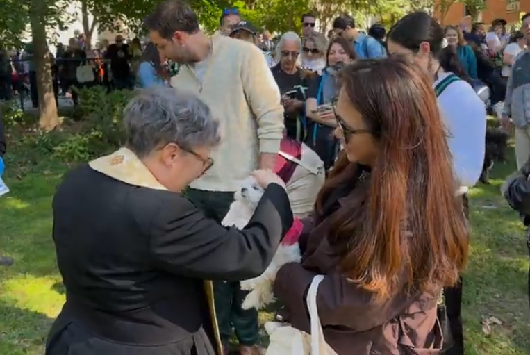 The annual blessing of the animals at the cathedral of St. John the Divine on Amsterdam Avenue and 112th Street in Morningside took place on Sunday.