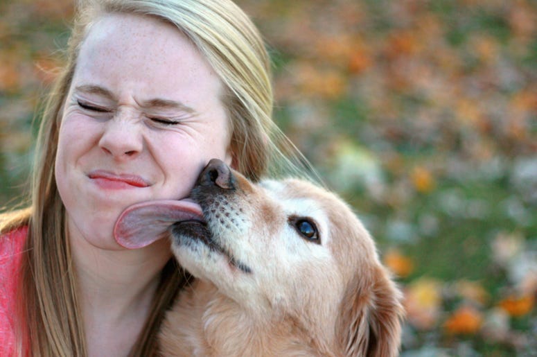 Dog_Licking