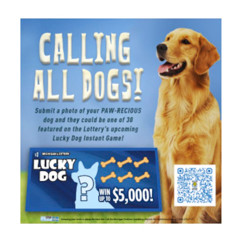 Promotional photo for Lucky Dog contest
