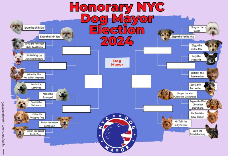 The DogMayorNYC voting brackets as of 9-1-2024