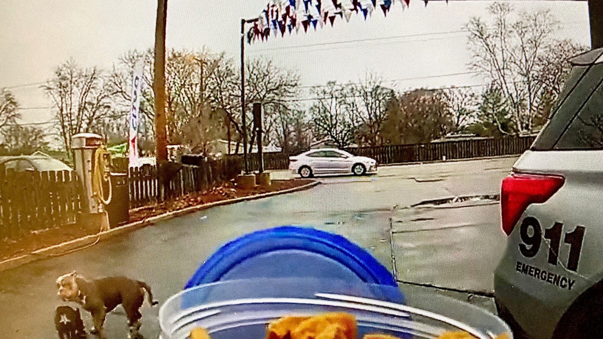 Deputy cleared after fatally shooting aggressive dog at gas station