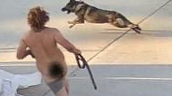 Naked trespasser allegedly tried to rape dogs