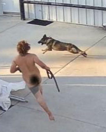 Footage of a Louisiana man who allegedly tried to sexually abuse dogs after trespassing.