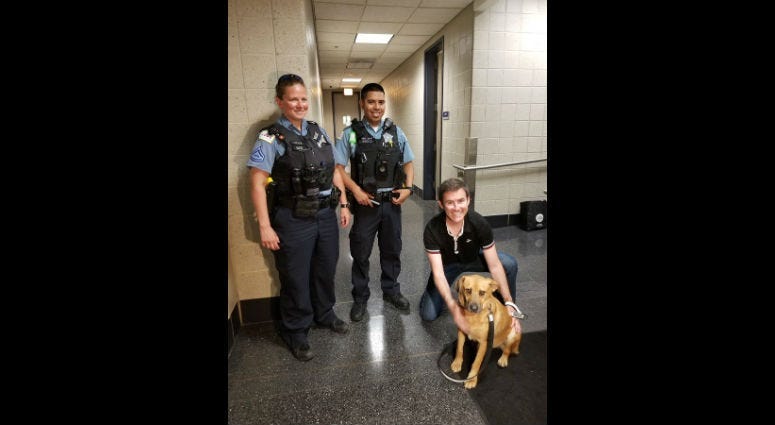 A dog was rescued by police Monday in Lake Michigan on the North Side.