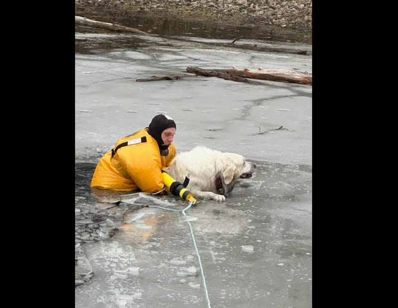 Firefighter rescuing Great Pyrenees dog