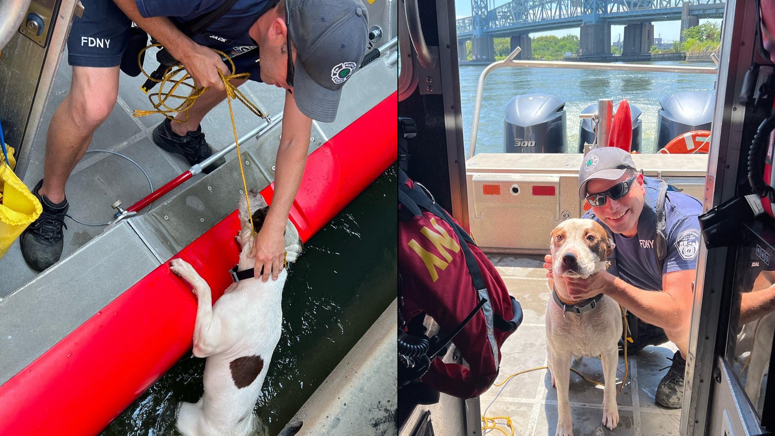 PHOTOS: FDNY rescues dog thrown off bridge into Harlem River