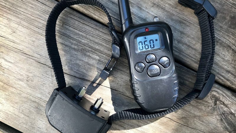 A typical shock collar for a dog with remote control