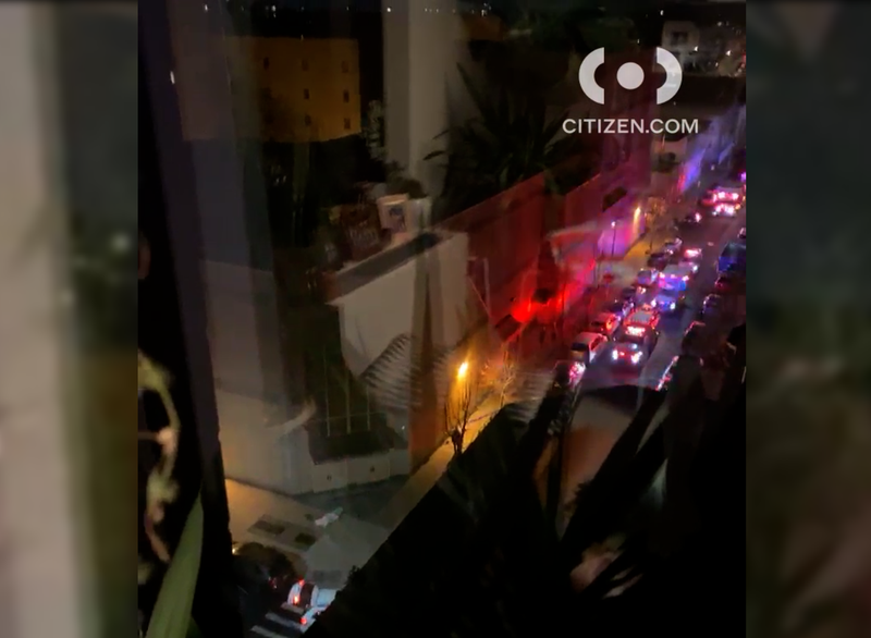 Secret service agent shoots dog