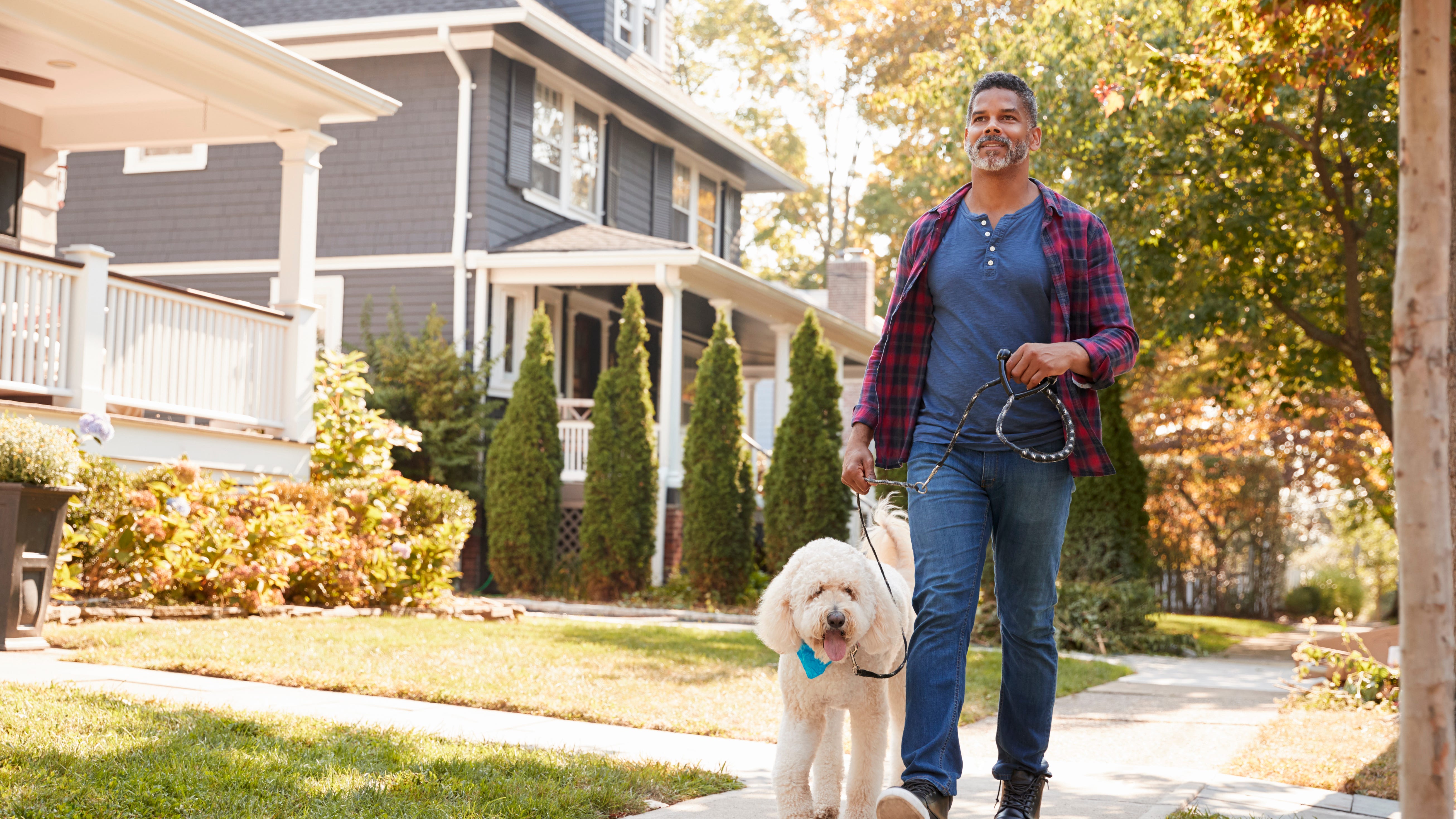 More dogs in your neighborhood results in less crime, study says