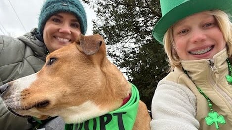 'Doggie Day Out' offers fun way to spend time with a shelter pet