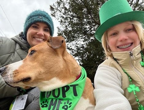 Dog on field trip with two human friends