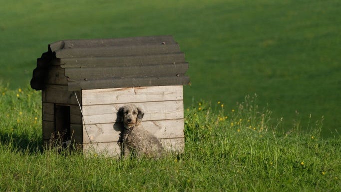 Doghouse struck by meteorite expected to be auctioned for $200K