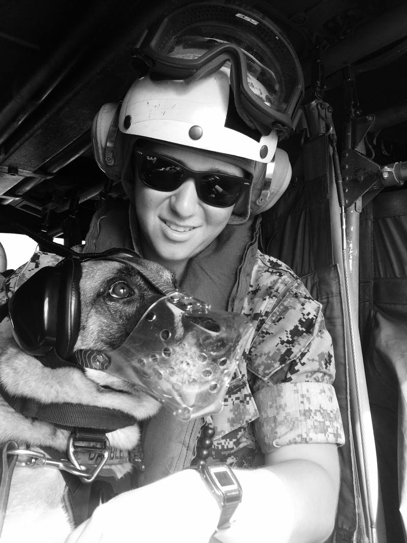 Doginside