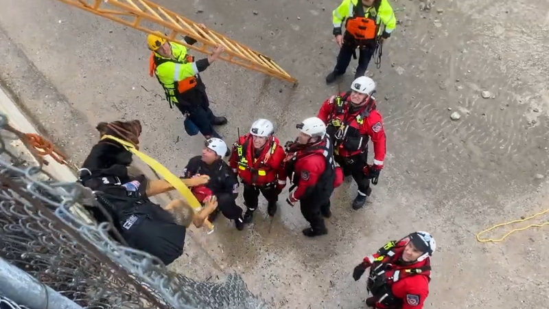 Public Information Officer Erik Scott with the Los Angeles Fire Department shared this photo of a dog rescued by LAFD on March 28, 2022 after being stuck for more than an hour in the Los Angeles River. 