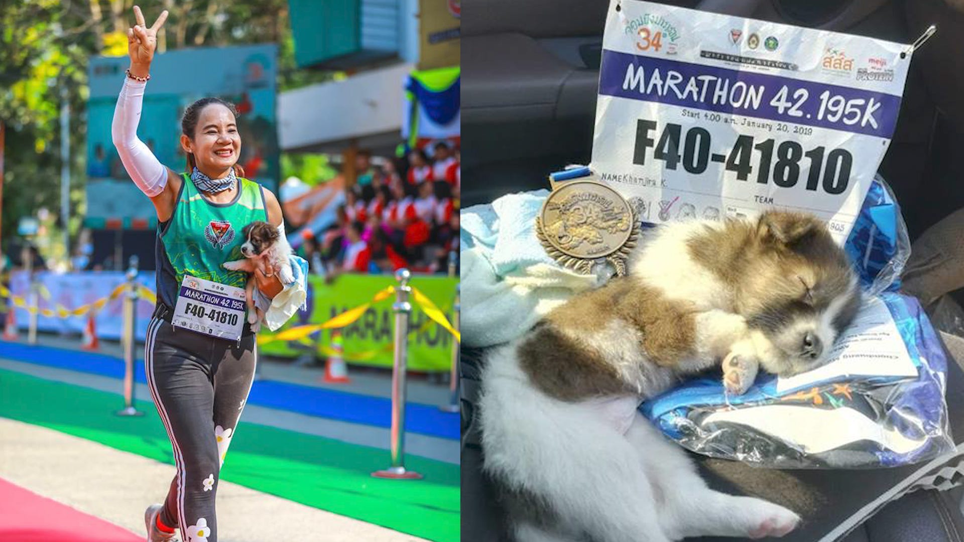 Runner Crosses Finish Line Holding Puppy She Rescued Mid Course