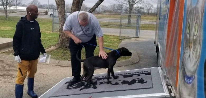 dogs rescued from Kentucky