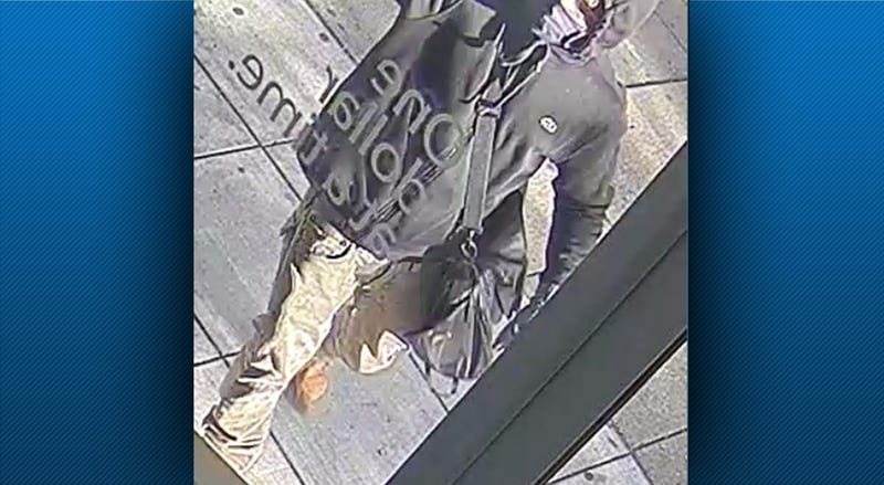 Dollar Bank Vandalism Suspect