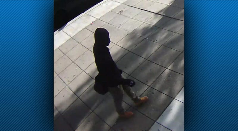 Dollar Bank Vandalism Suspect