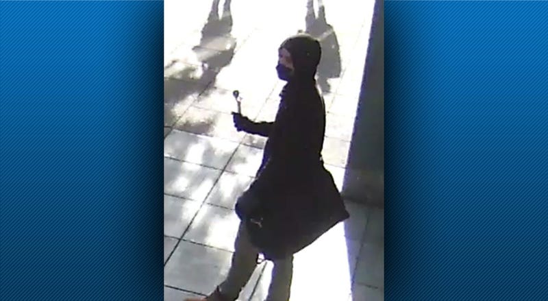 Dollar Bank Vandalism Suspect