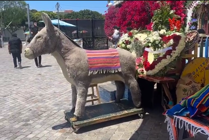 "El Burro"