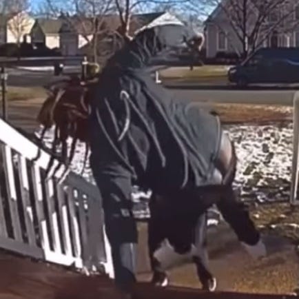 Doorbell Cameras Catch Everything