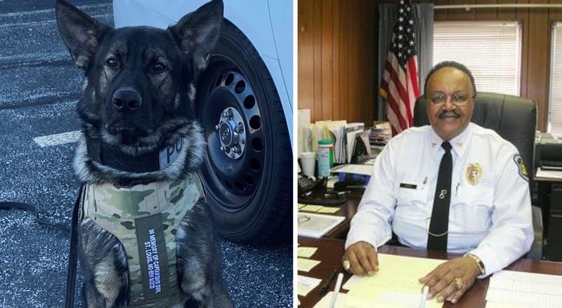 Dorn, K-9