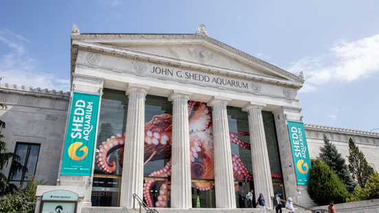 How the NASCAR race will impact Chicago’s museum campus