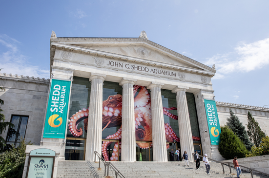Shedd Aquarium.