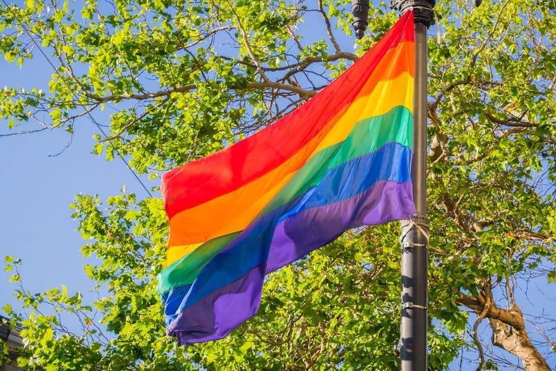 Rainbow flag.