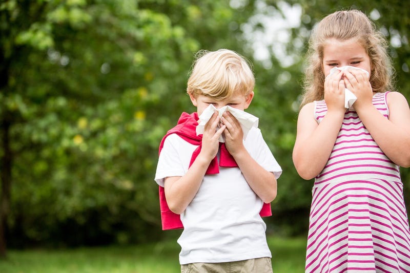 Children with hay fever or allergy at the park sneezing and using tissue