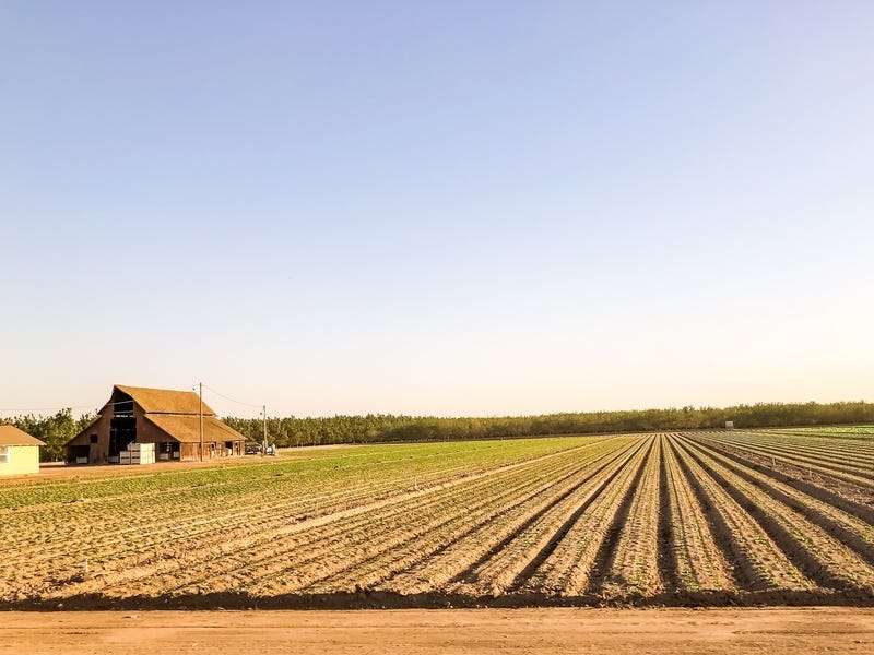 Farm
