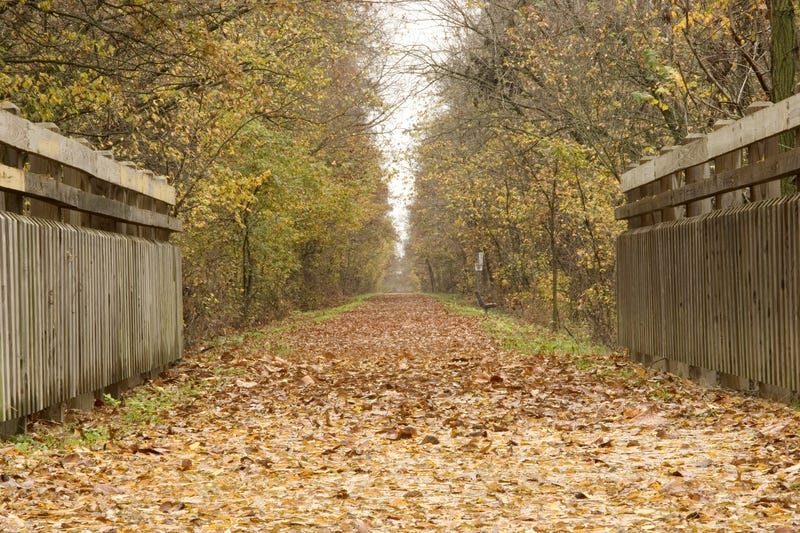Walking Trail