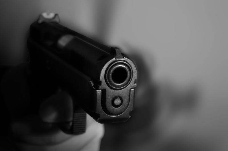 Handgun, Gun