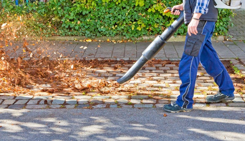 Gas Powered Leaf Blower