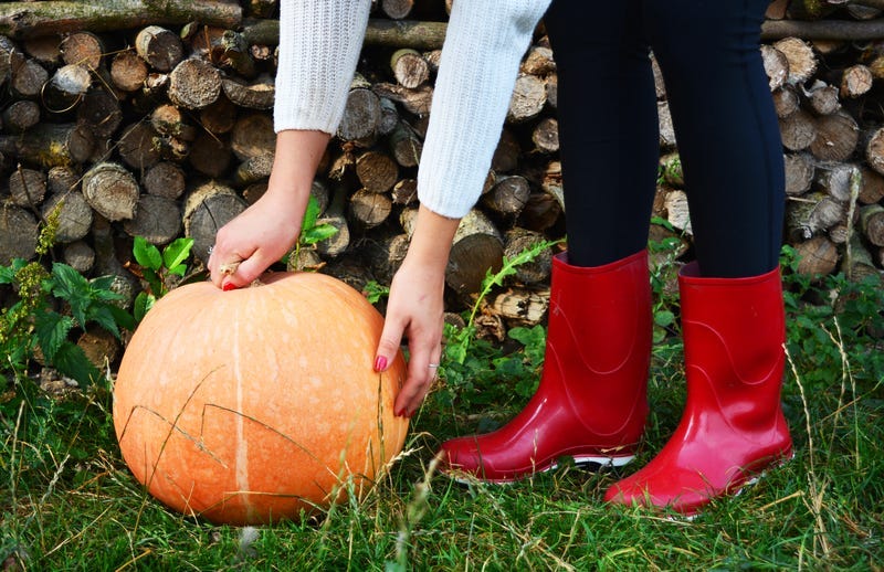 Pumpkin