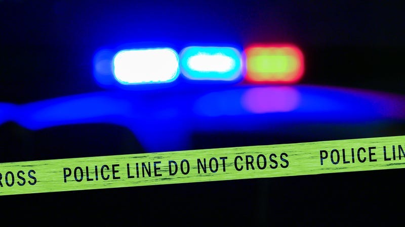 2 CPD Officers Injured After Crashing Into Tree In Garfield Park
