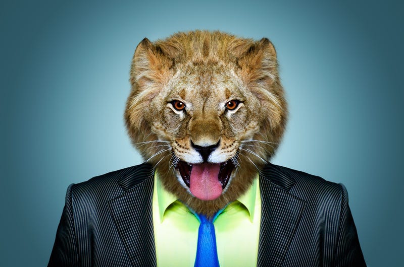 Portrait of a lion in a business suit.