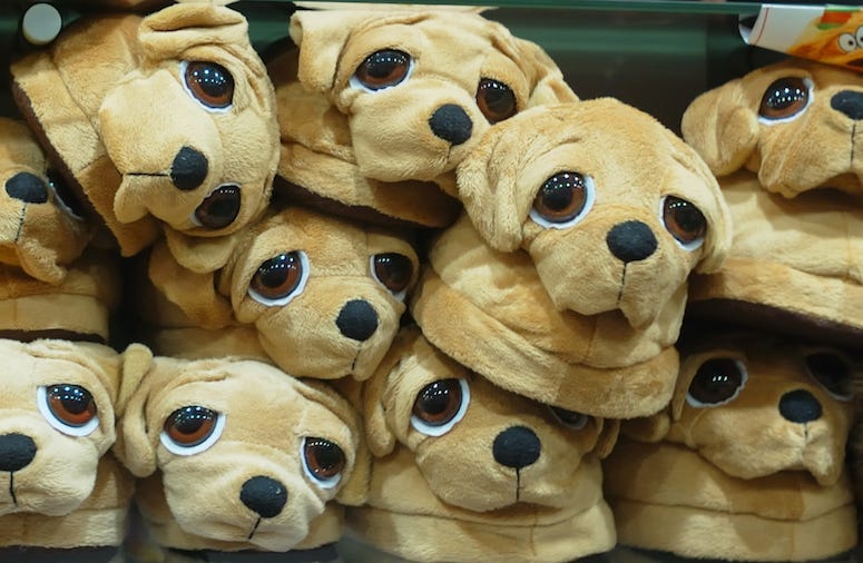 Dog Slippers, Pet, House Shoes, Shop