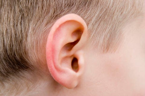 Human Ear